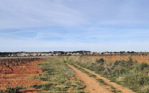 Picpoul de Pinet